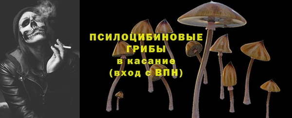 бошки Армянск